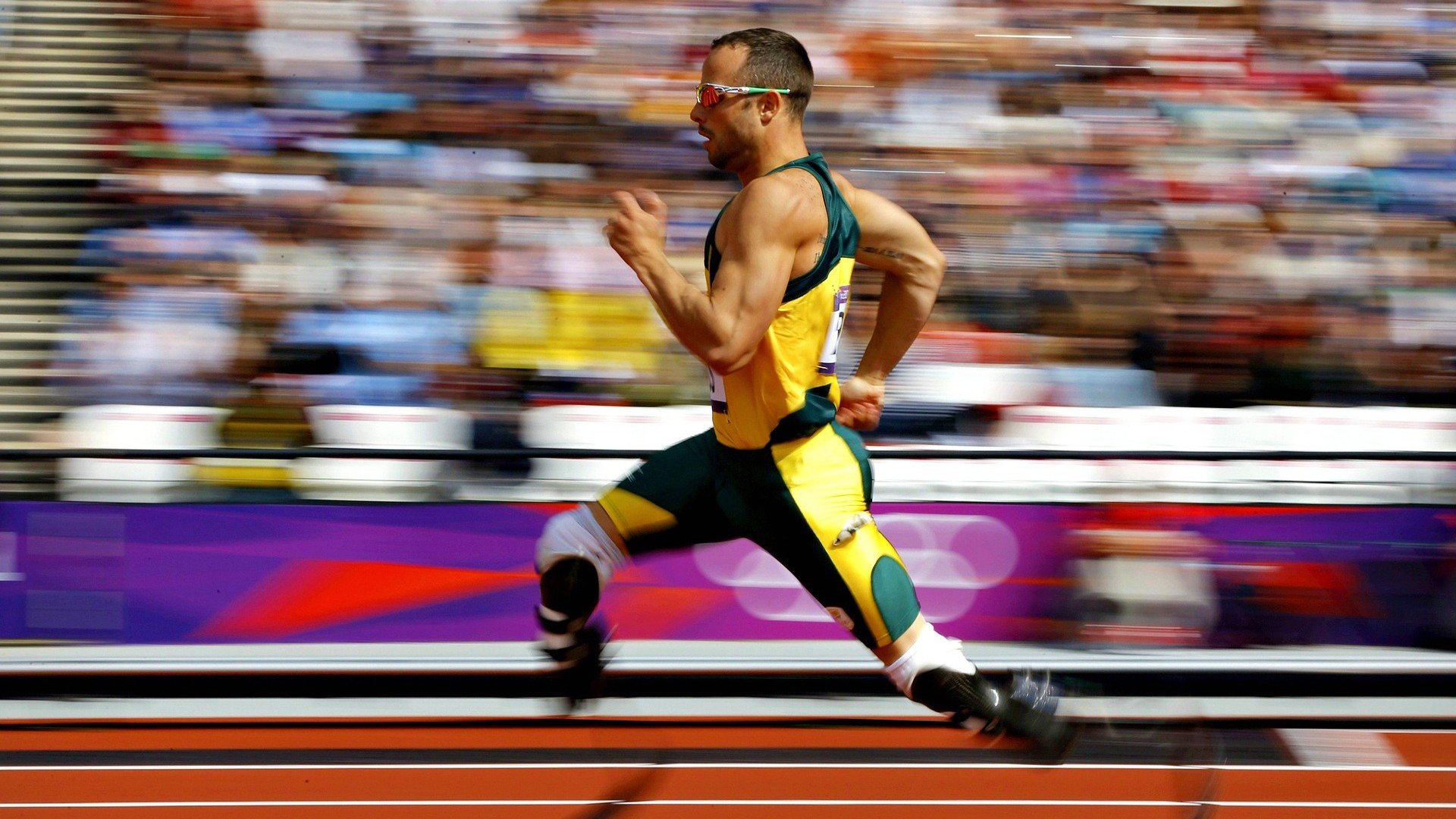 运动表现评估平台数据标准化路径研究,运动表现分析的应用及设想